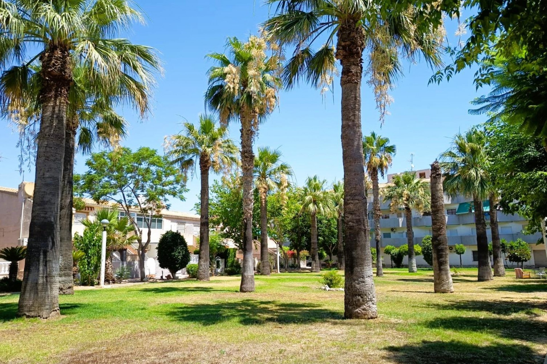 Brukt - Bungalow -
Orihuela Costa - Costa Blanca