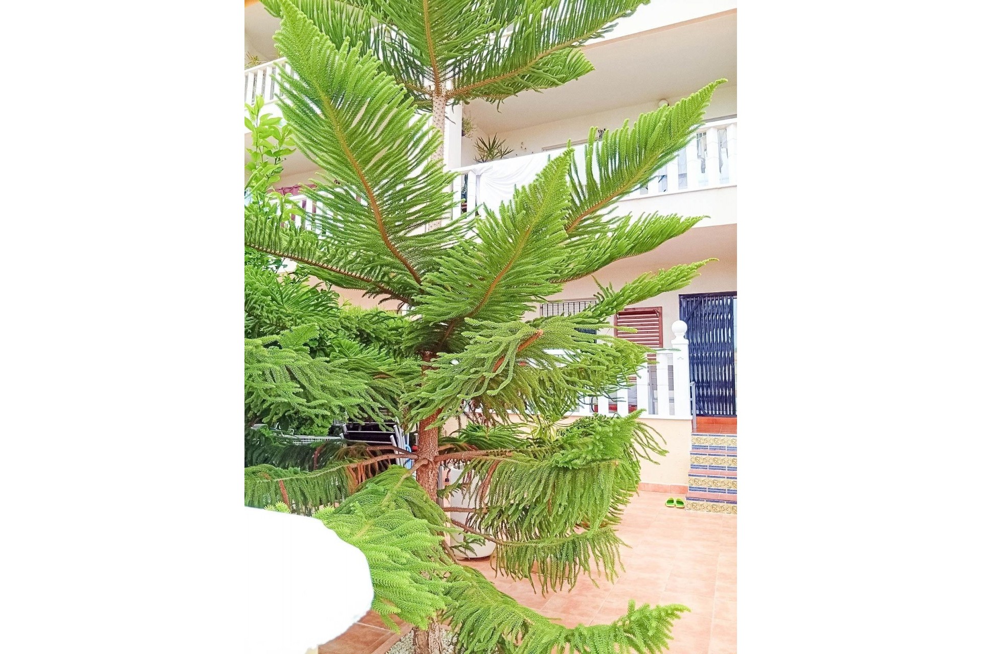 Brukt - Bungalow -
Orihuela Costa - Lomas De Cabo Roig-los Dolses