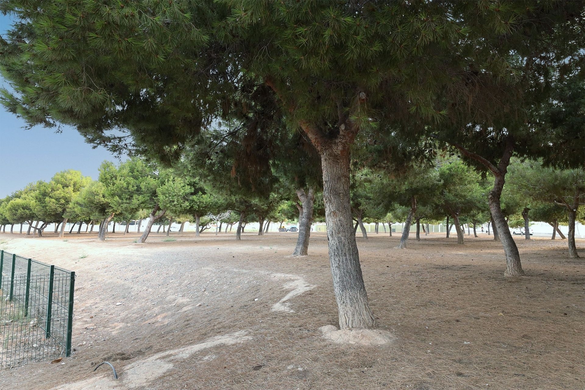 Brukt - Bungalow -
San Pedro del Pinatar - Costa Calida