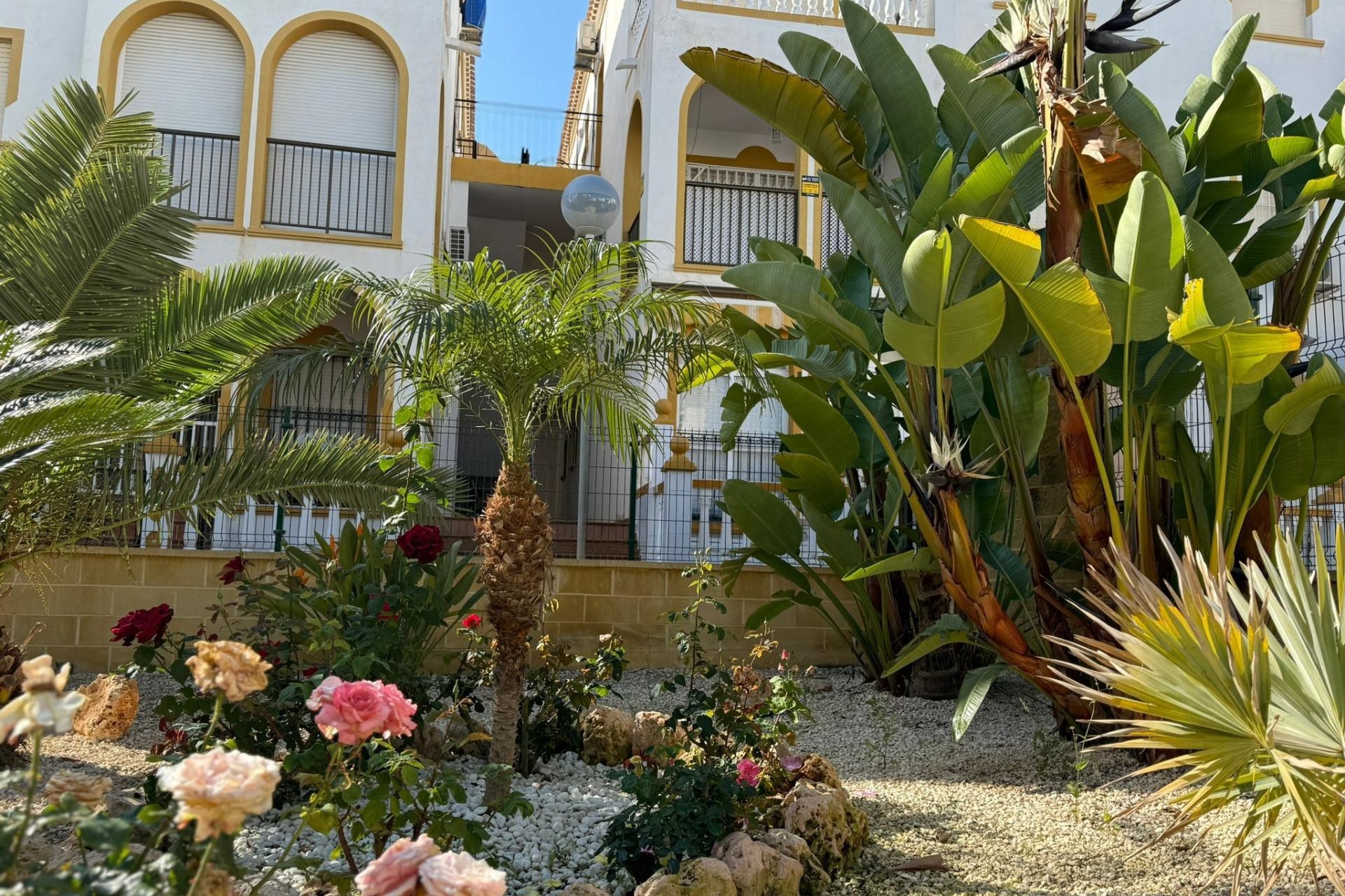 Brukt - Bungalow -
Torrevieja - Cañada Del Molino