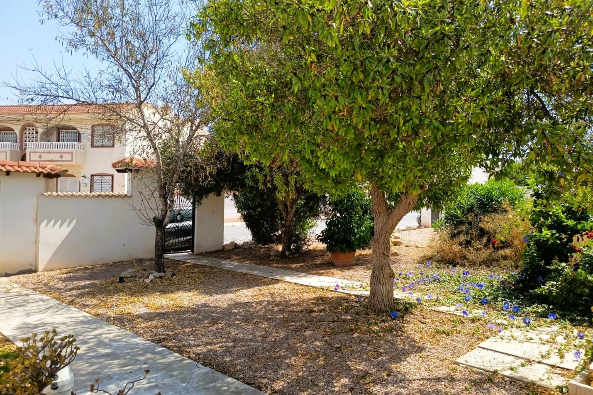 Brukt - Bungalow -
Torrevieja - Costa Blanca