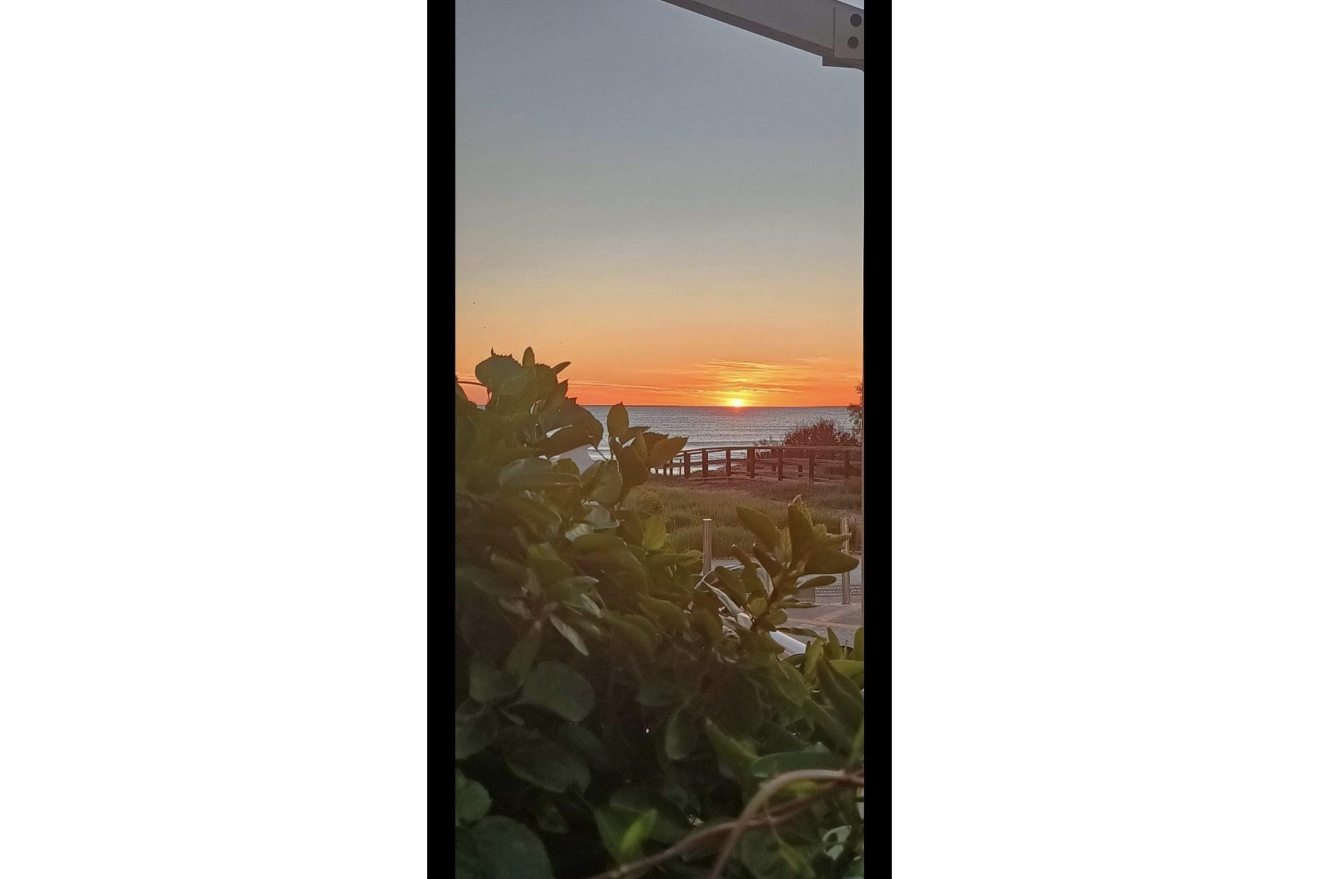 Brukt - Bungalow -
Torrevieja - La Mata