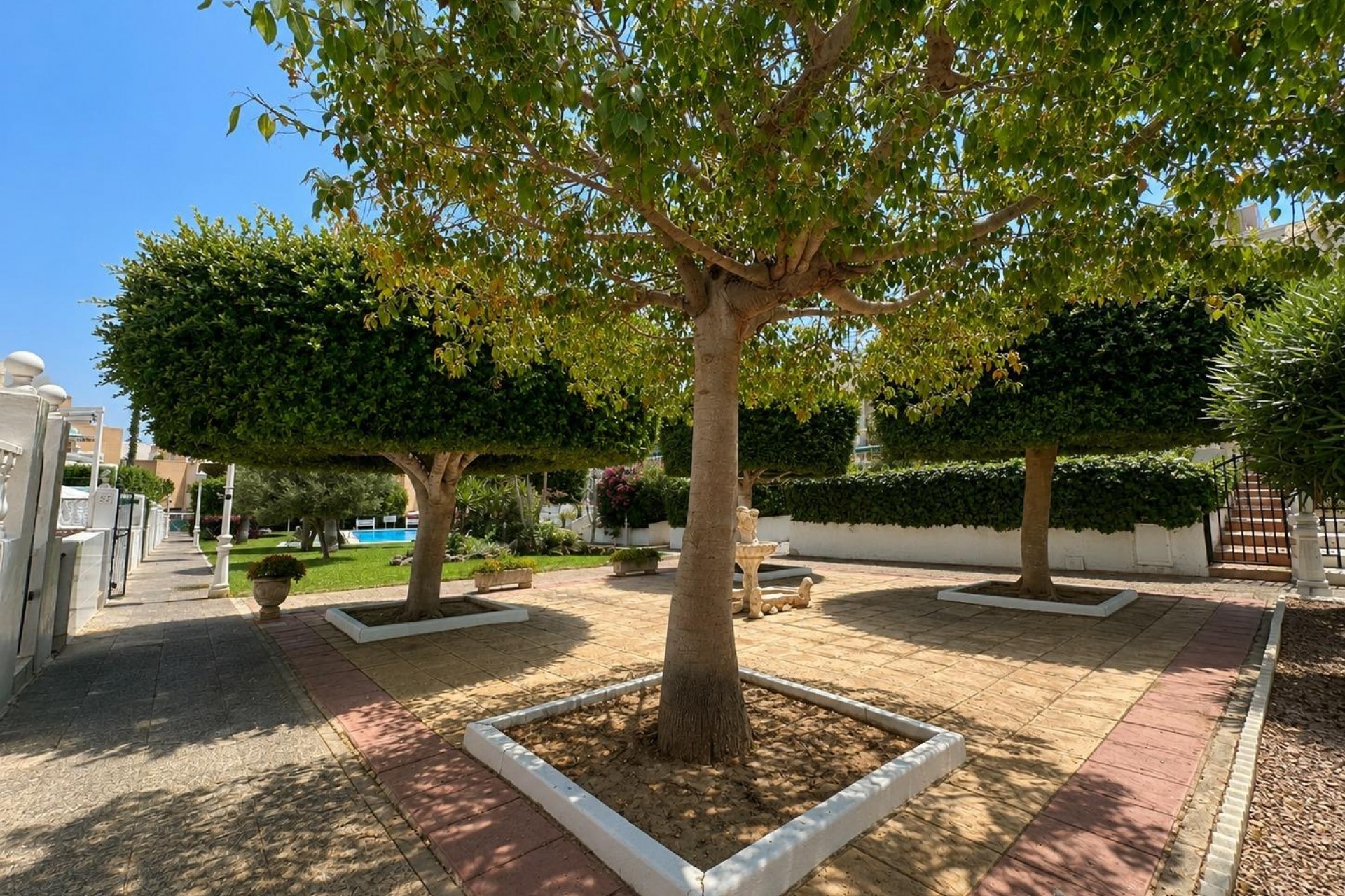 Brukt - Bungalow -
Torrevieja - La Mata