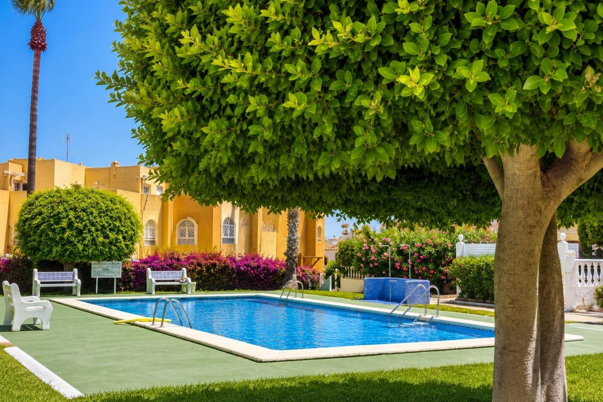 Brukt - Bungalow -
Torrevieja - La Mata