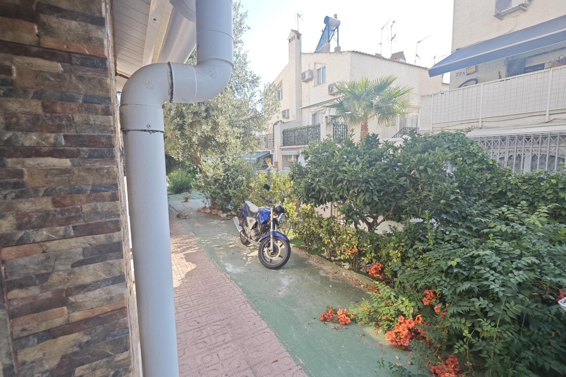 Brukt - Bungalow -
Torrevieja - Playa del Cura