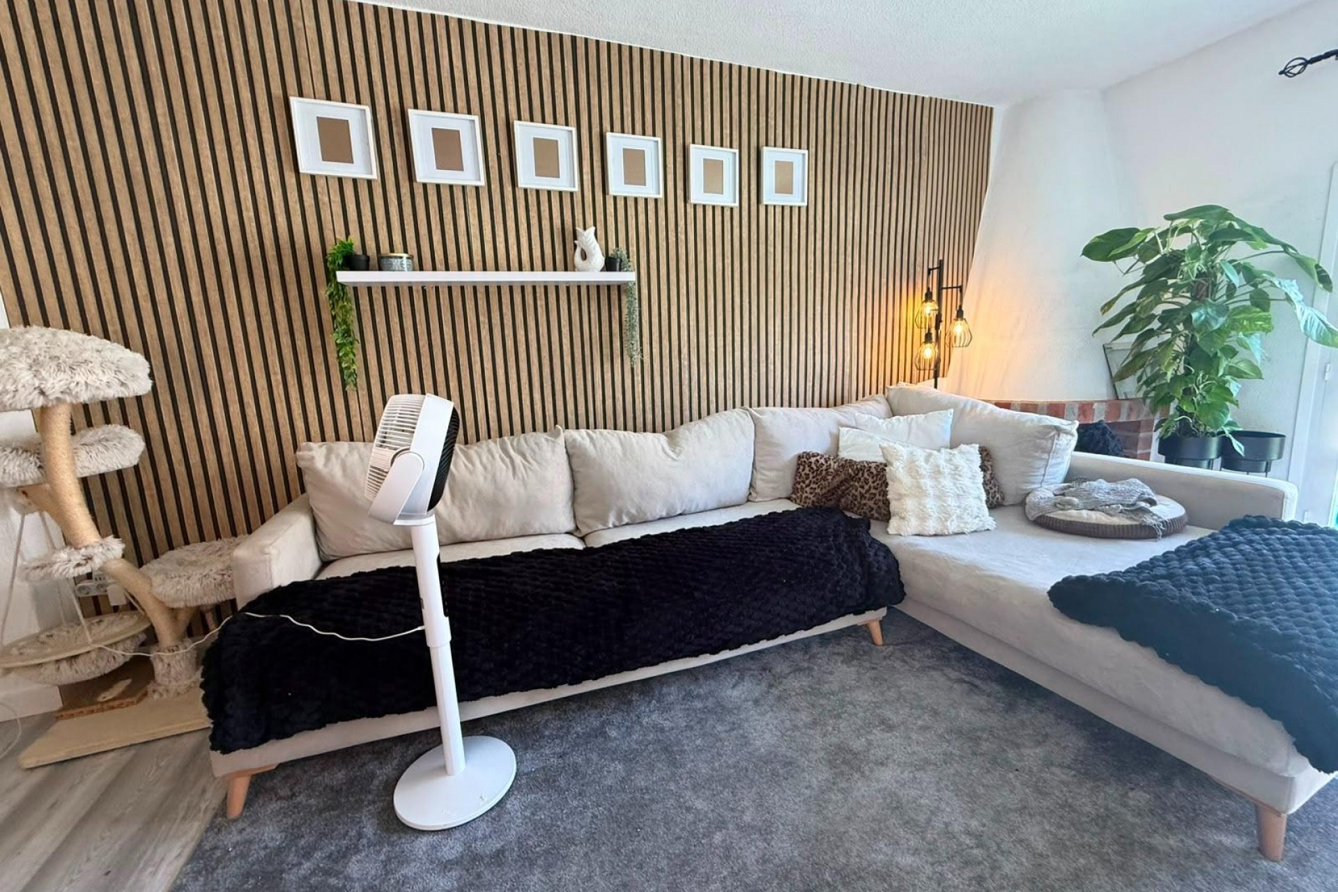 Brukt - Bungalow -
Torrevieja - Playa del Cura