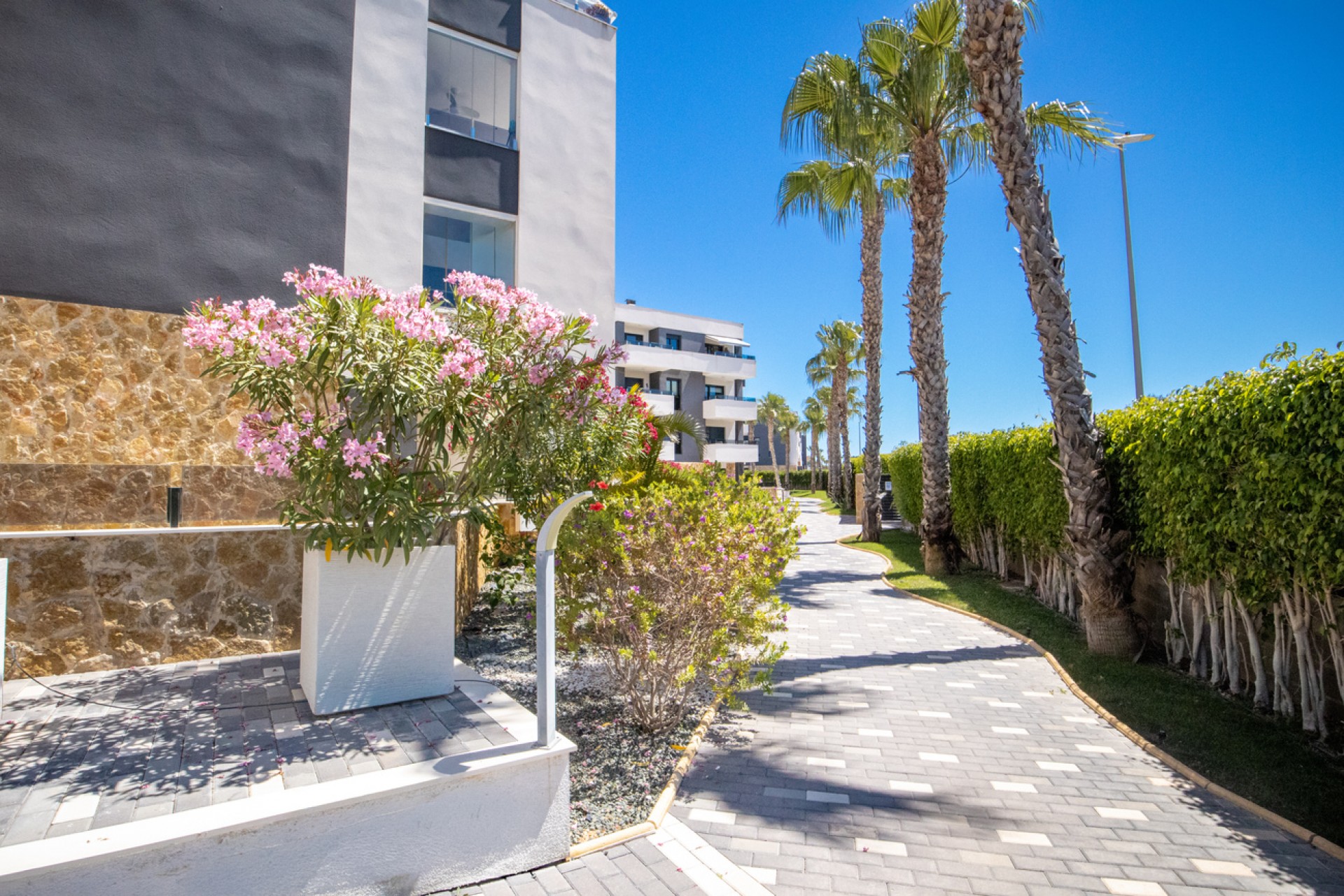 Brukt - Penthouse Penthouse -
Los Altos - AMANECER