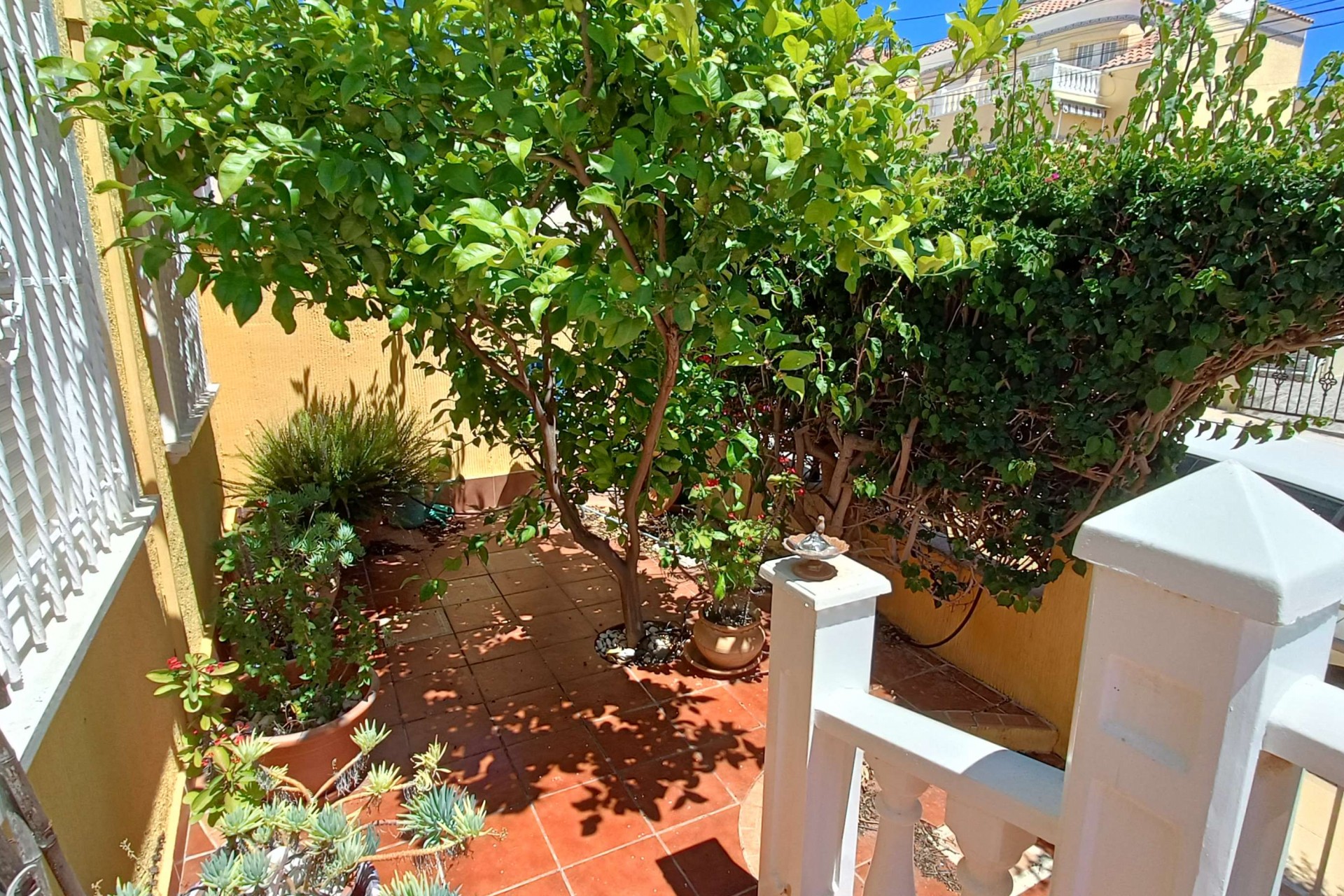 Brukt - Quad House -
Orihuela Costa - Costa Blanca