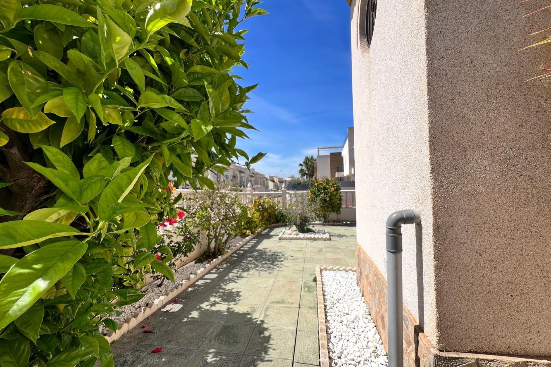 Brukt - Quad House -
Torrevieja - Torre La Mata