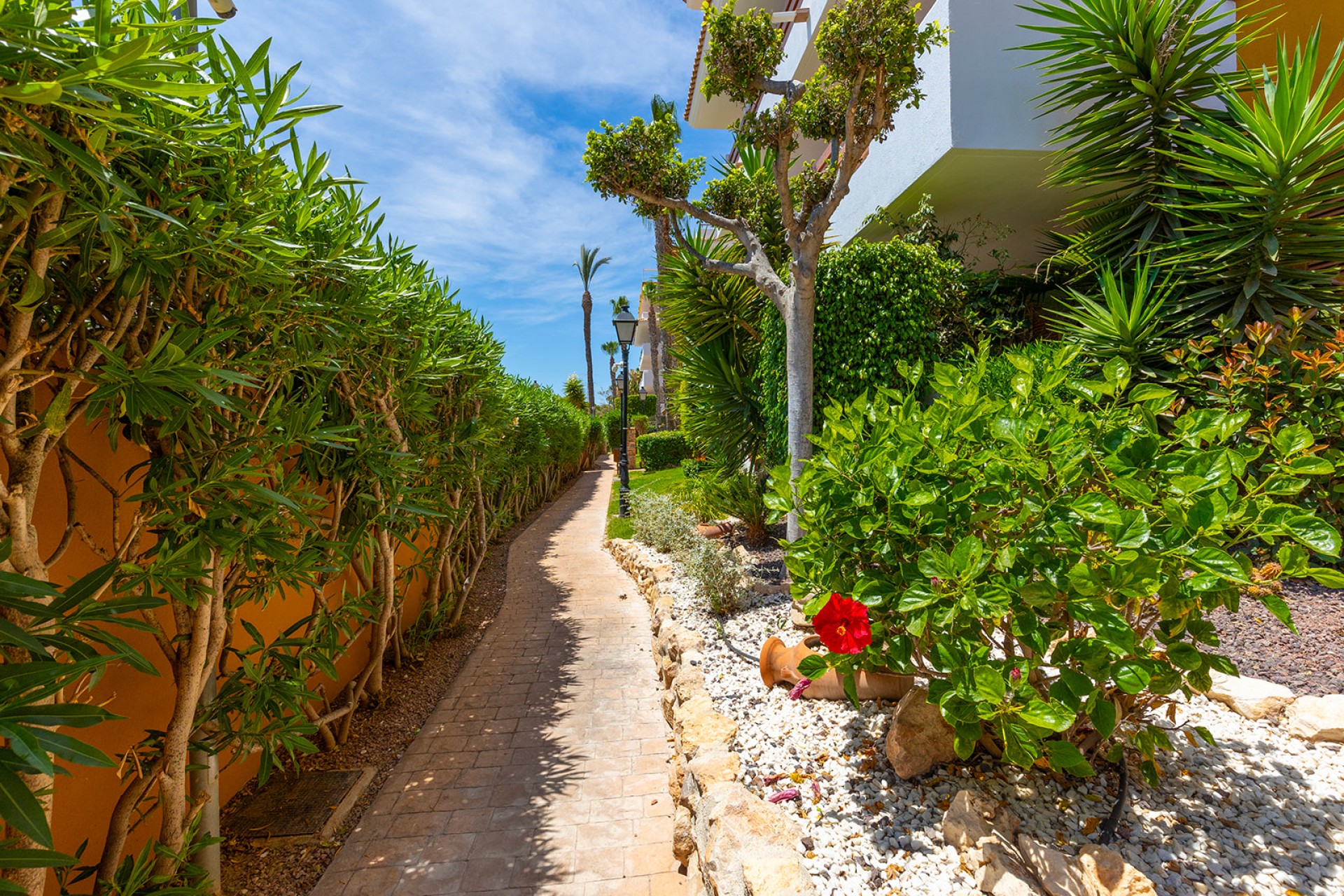 Brukt - Toppleilighet -
Punta Prima - Costa Blanca