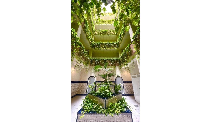 Brukt - Toppleilighet -
Torrevieja - Centro