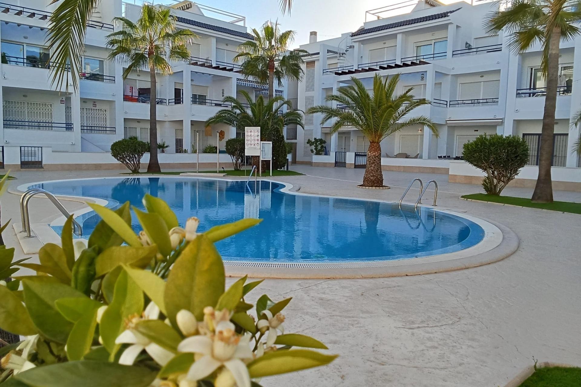 Brukt - Toppleilighet -
Torrevieja - La Veleta