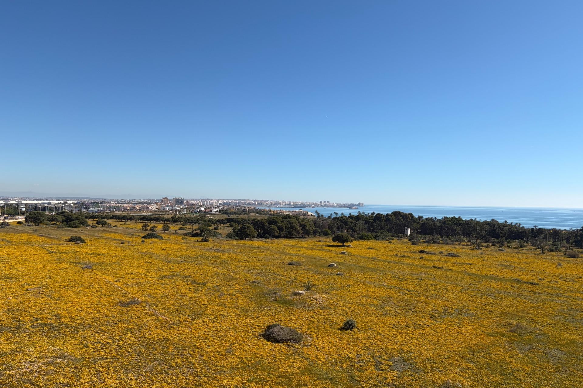 Brukt - Toppleilighet -
Torrevieja - Punta Prima