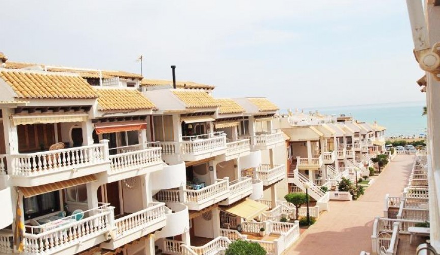 Brukt - Tosidig -
Guardamar del Segura - Benamor