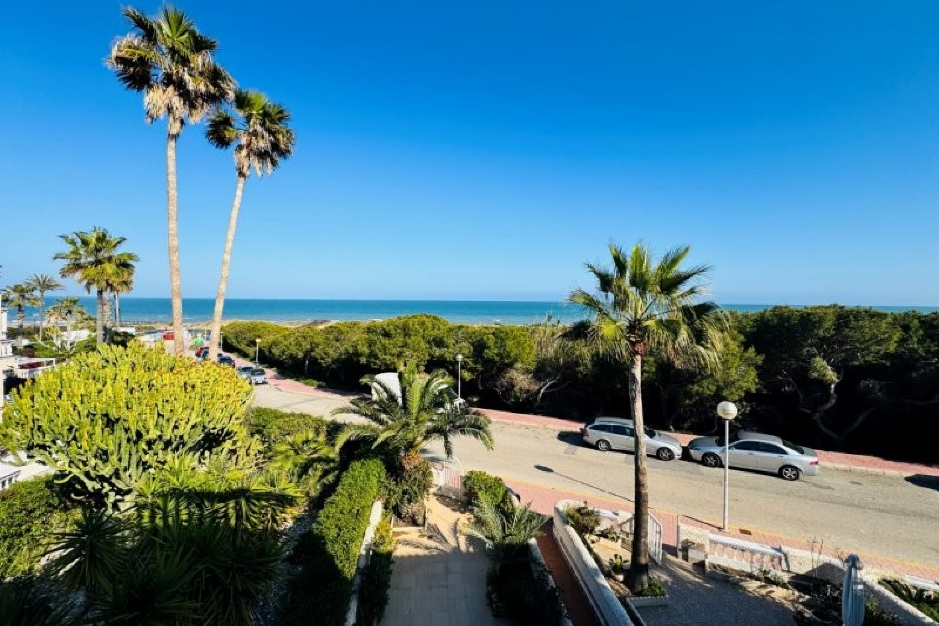 Brukt - Tosidig -
Guardamar del Segura - Costa Blanca