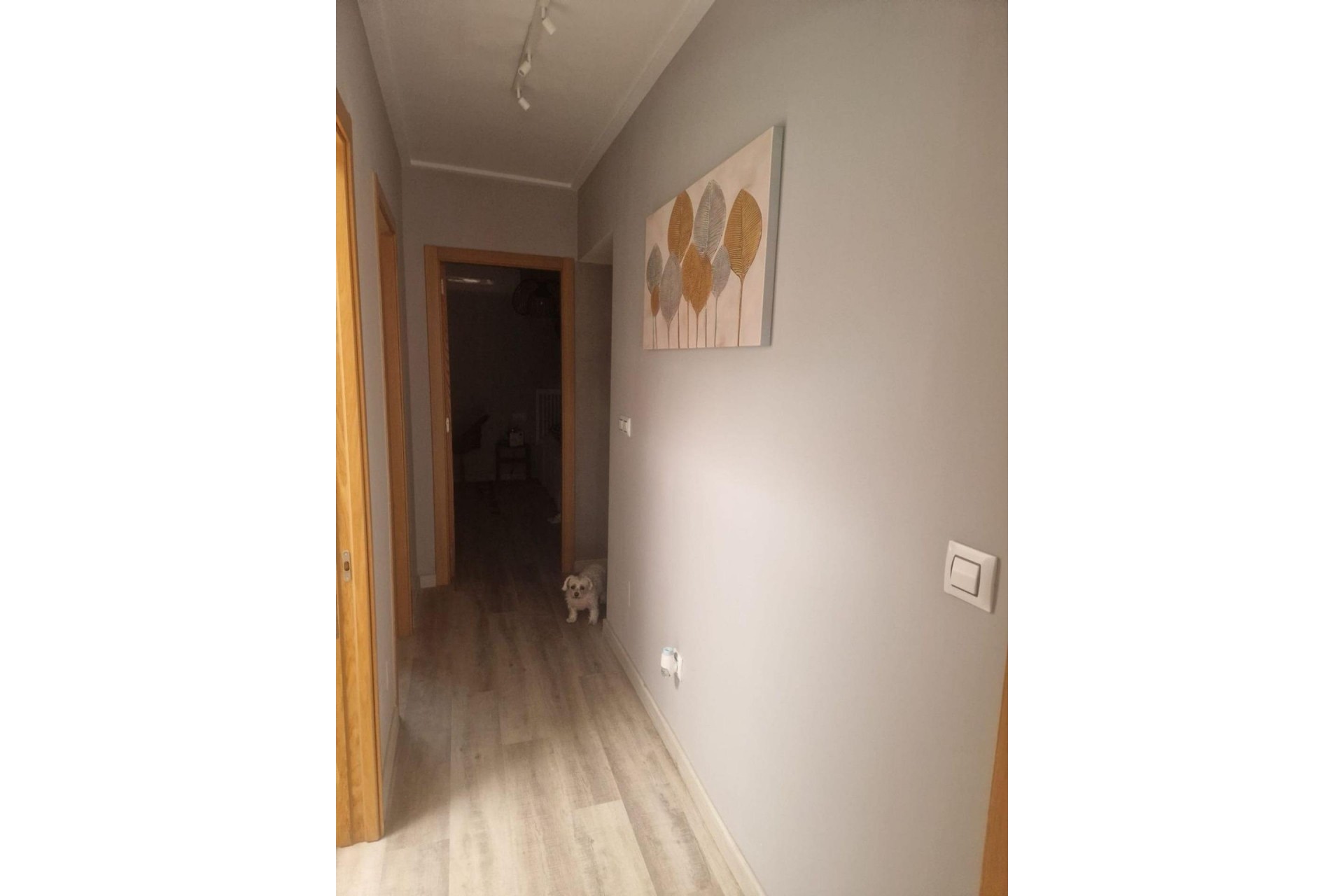 Brukt - Tosidig -
Torrevieja - Los Balcones - Los Altos del Edén