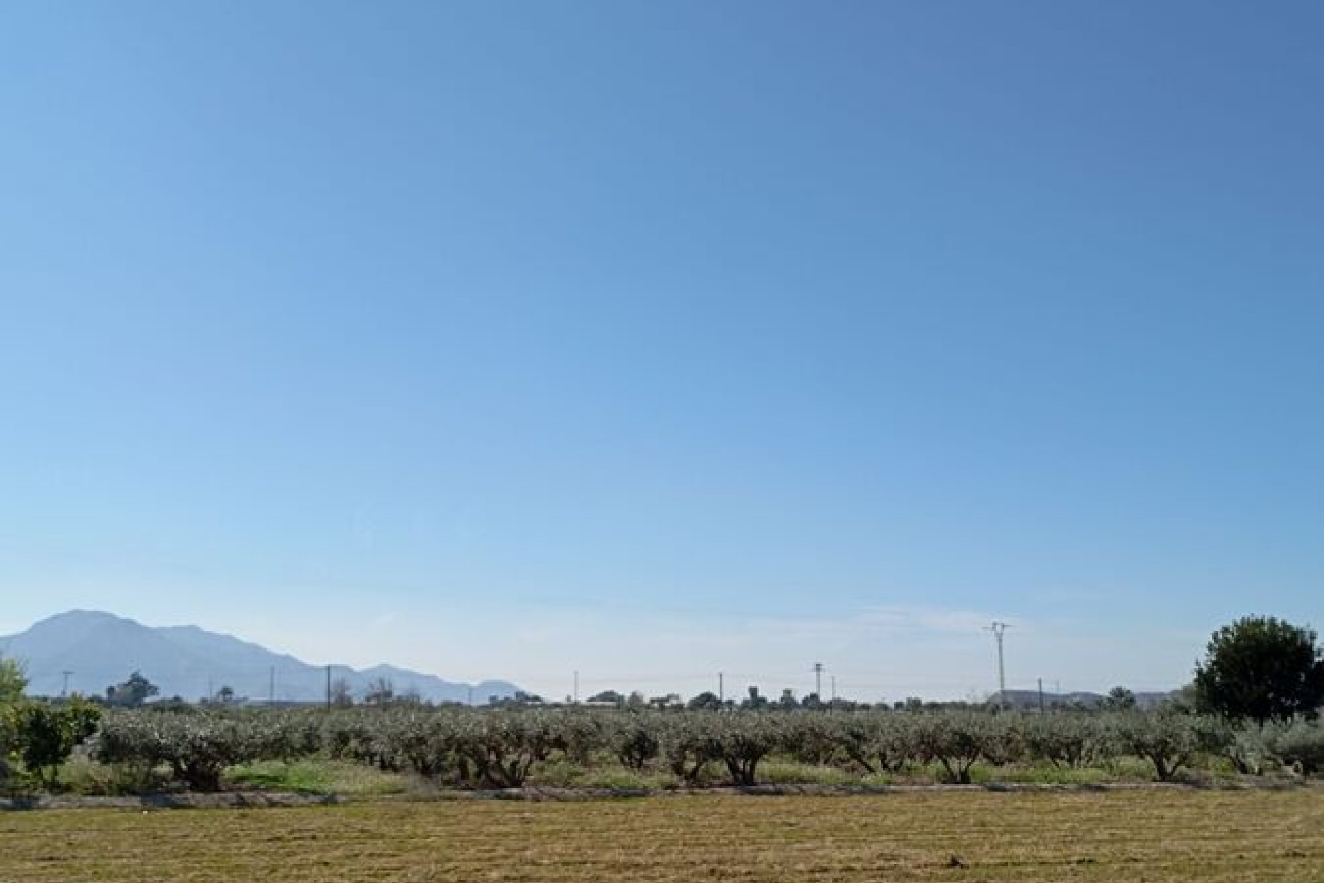 Brukt - Town House -
Catral - Costa Blanca