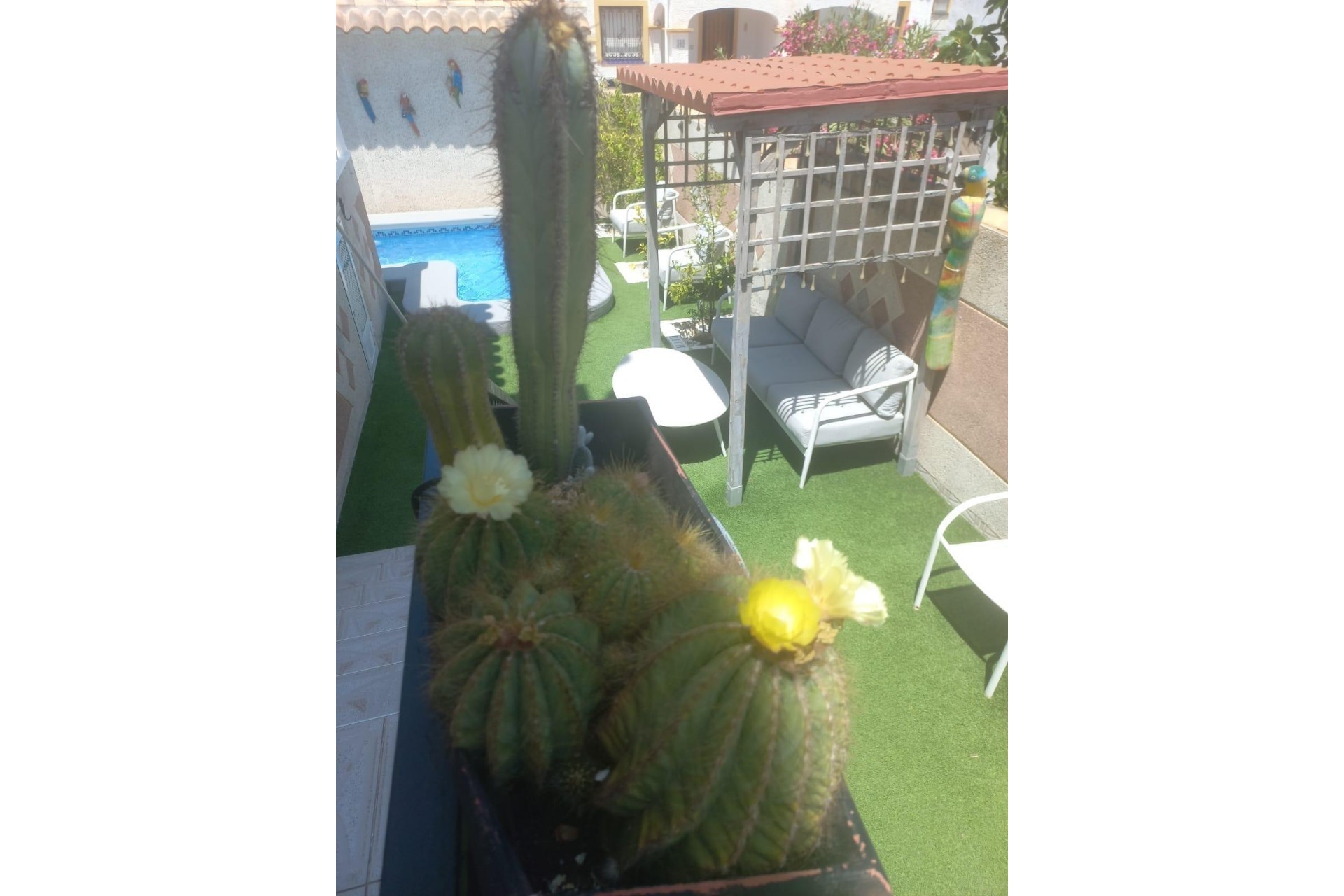 Brukt - Town House -
Orihuela Costa - Los Almendros-la Florida
