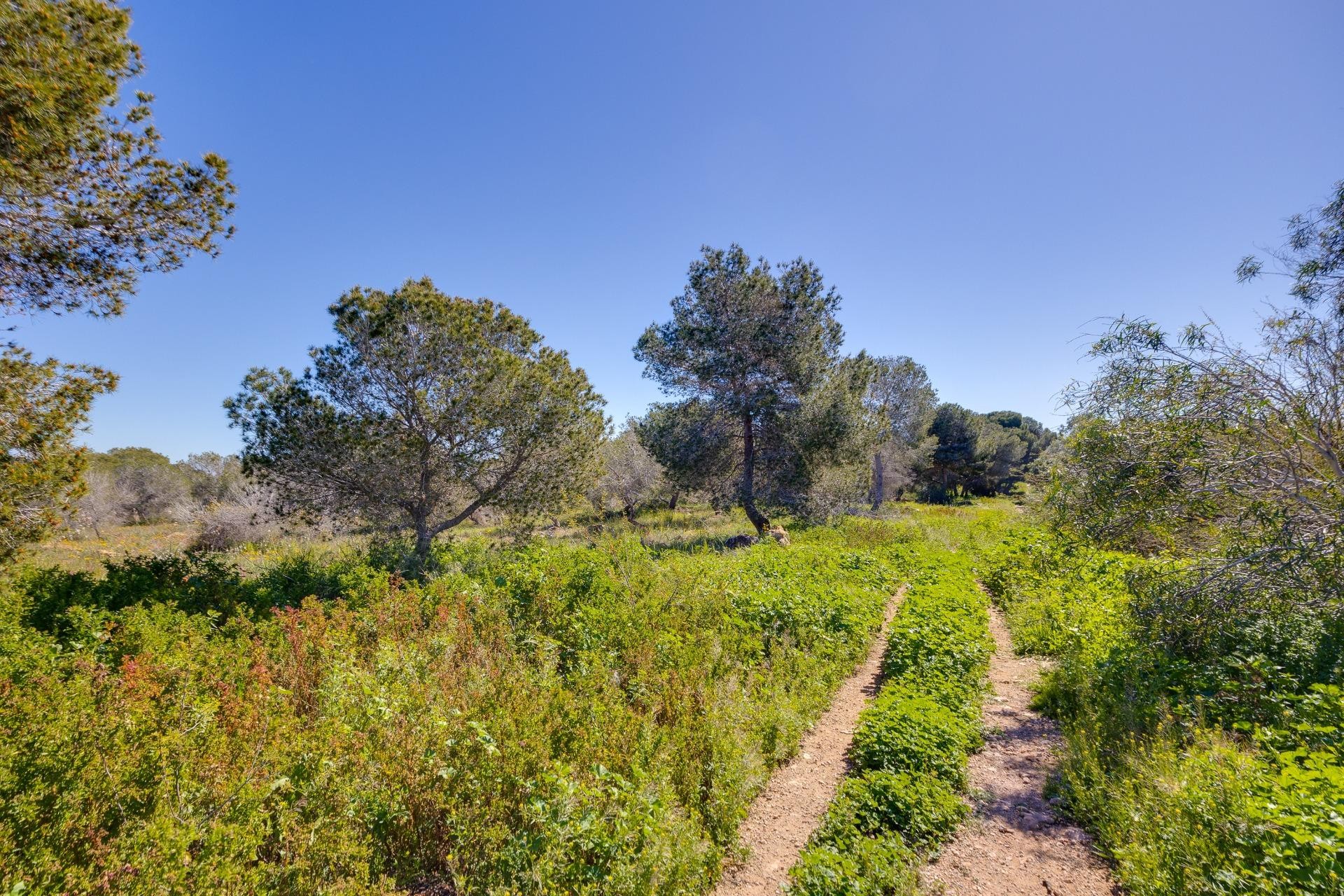 Brukt - Town House -
Torrevieja - La Siesta - El Salado - Torreta