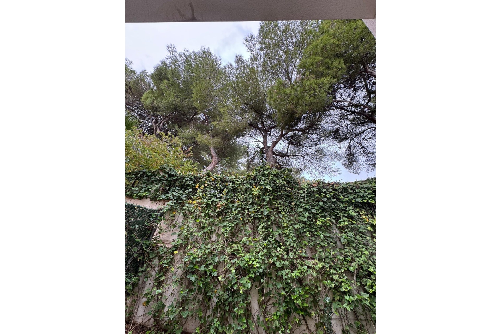 Brukt - Town House -
Torrevieja - Punta Prima