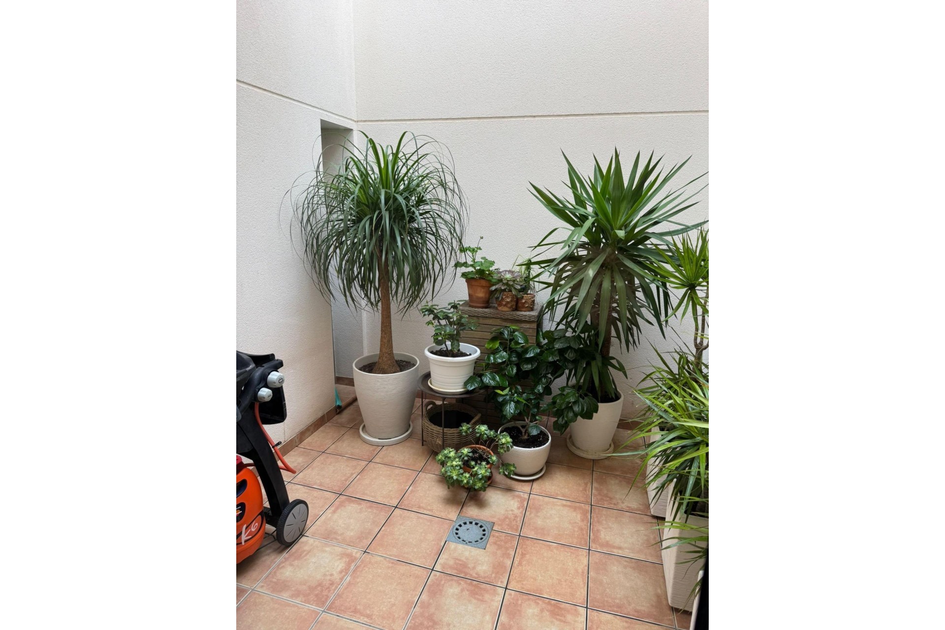 Brukt - Town House -
Torrevieja - Punta Prima