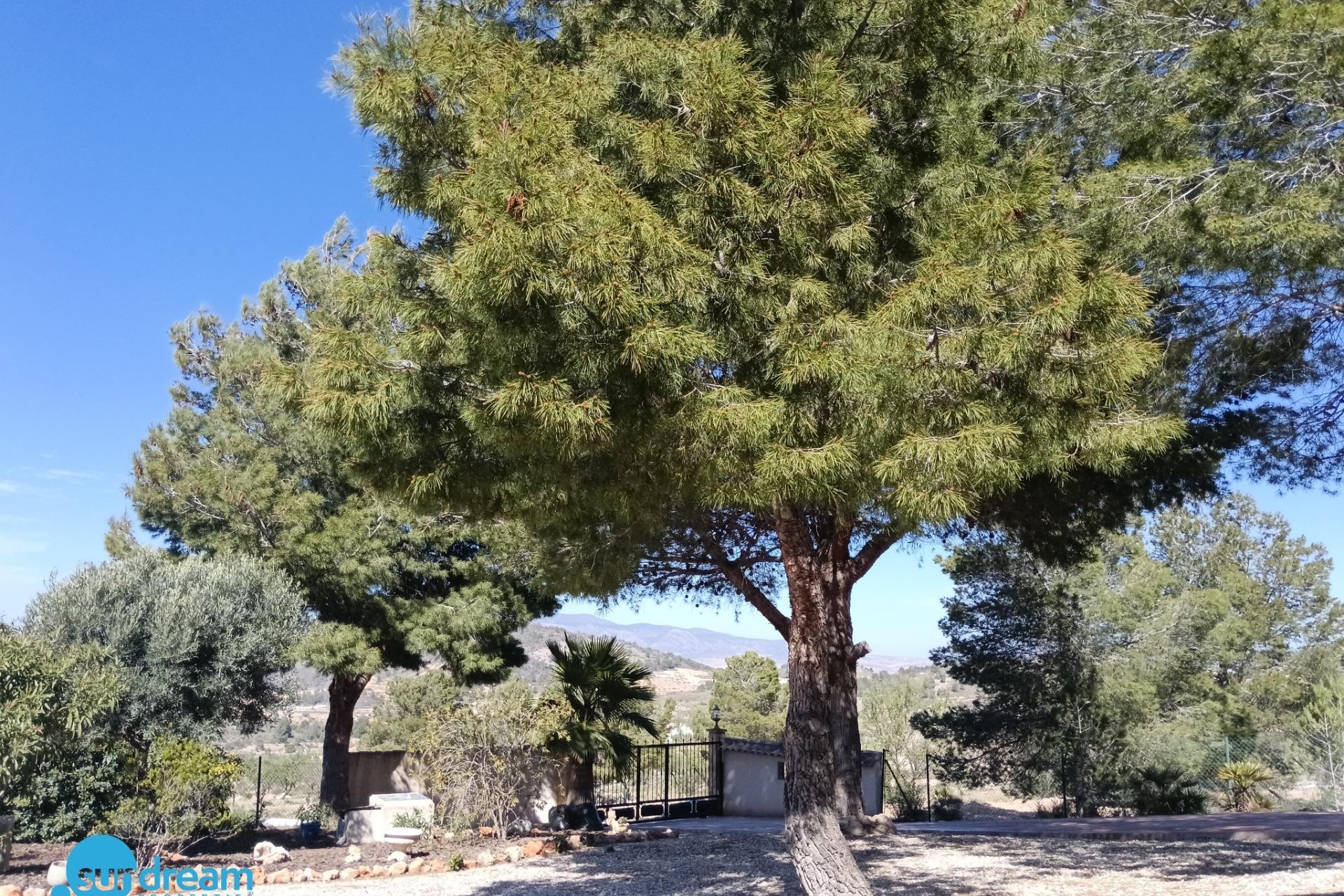 Brukt - Villa -
Abanilla