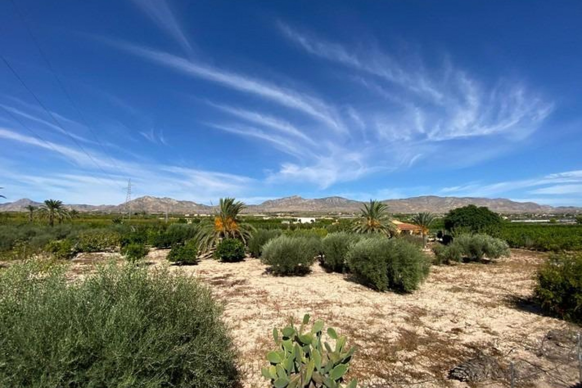 Brukt - Villa -
Albatera - Campo De Albatera