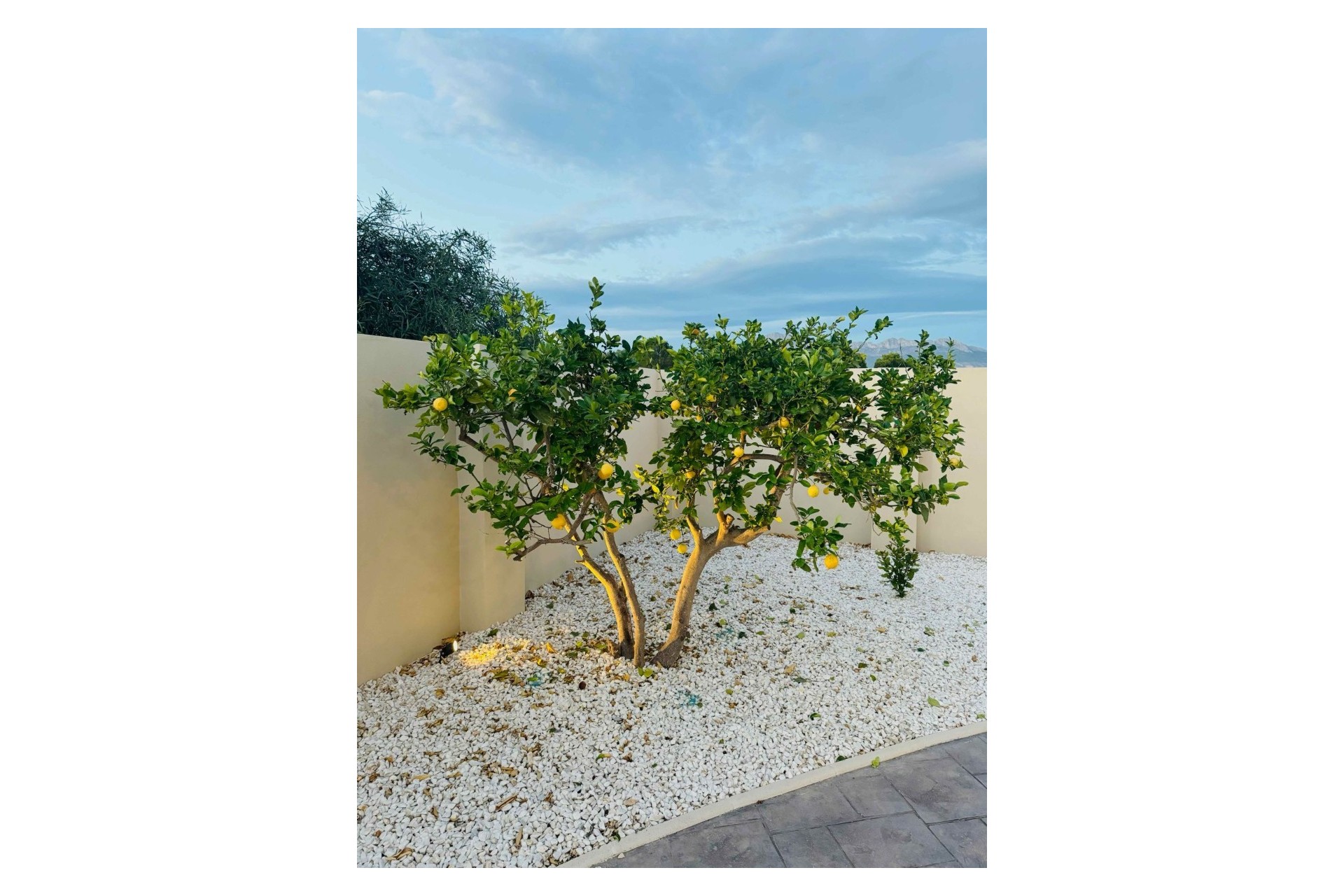 Brukt - Villa -
Alfas del Pí - Costa Blanca