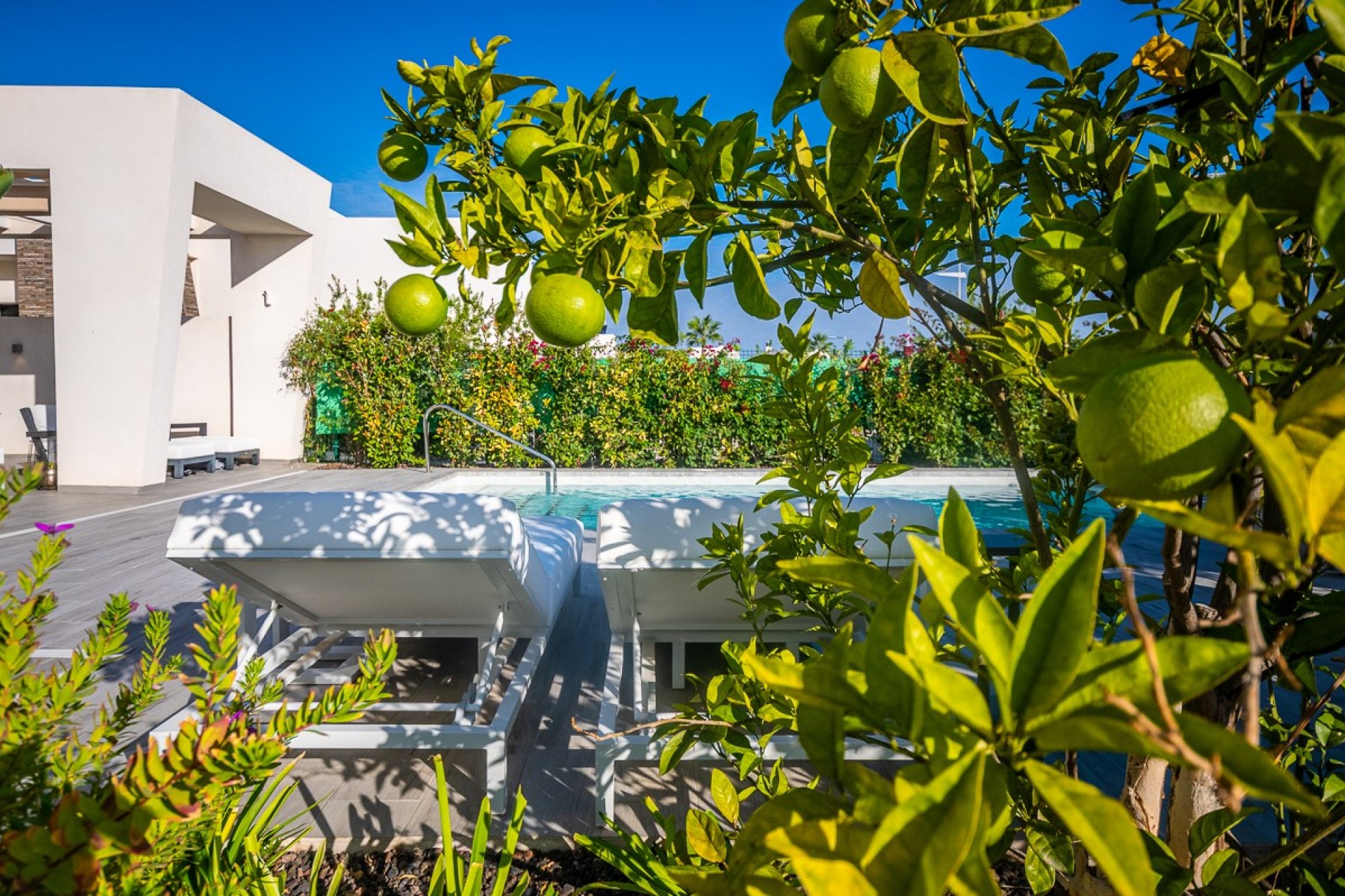 Brukt - Villa -
Algorfa - Inland