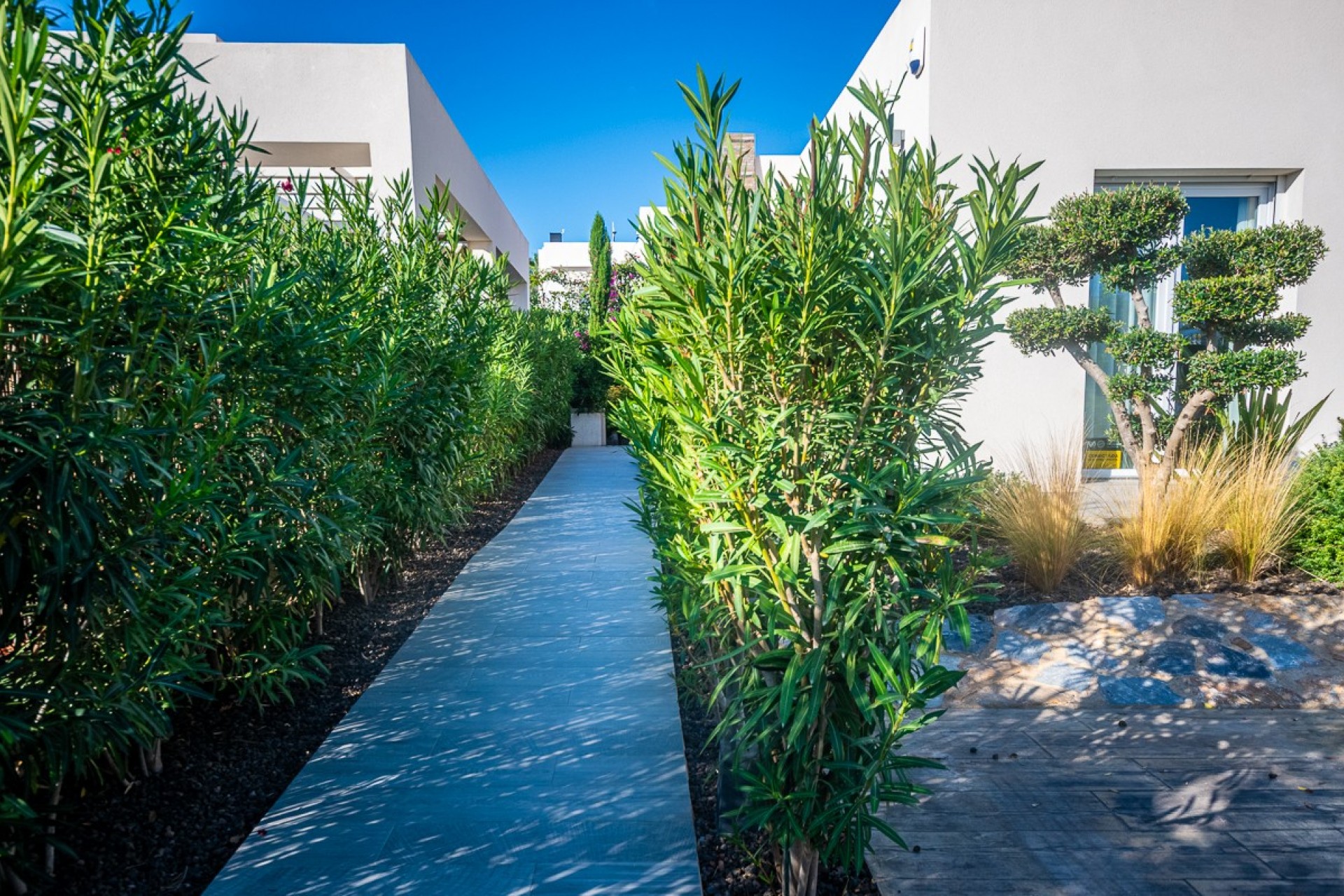 Brukt - Villa -
Algorfa - Inland