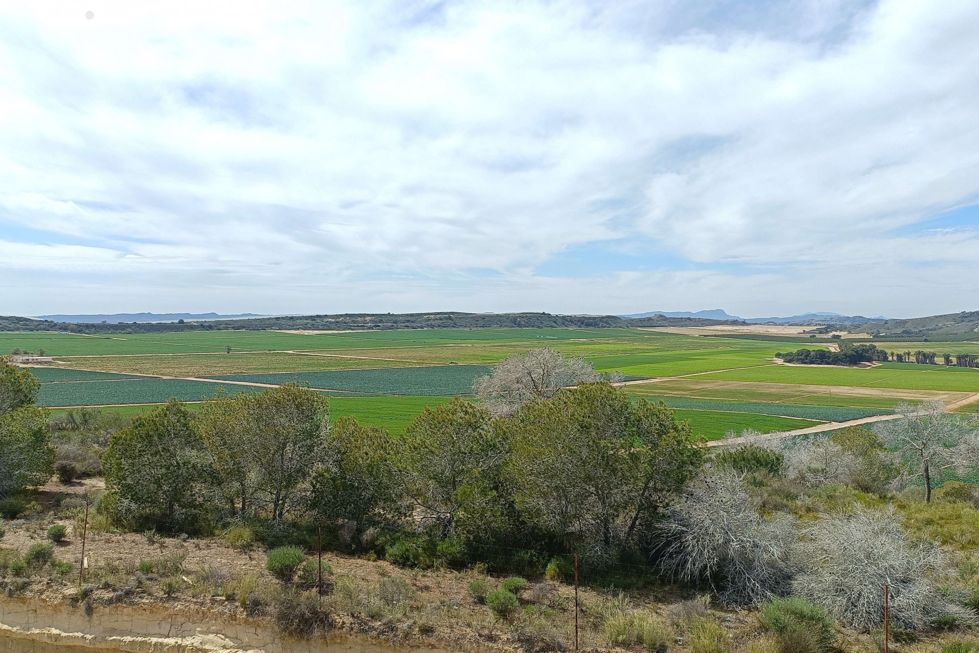 Brukt - Villa -
Algorfa - Inland