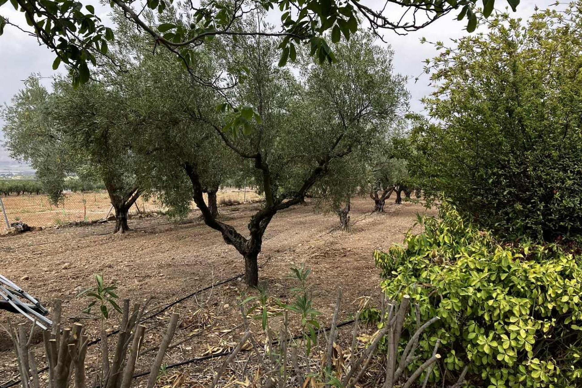 Brukt - Villa -
Biar - Costa Blanca