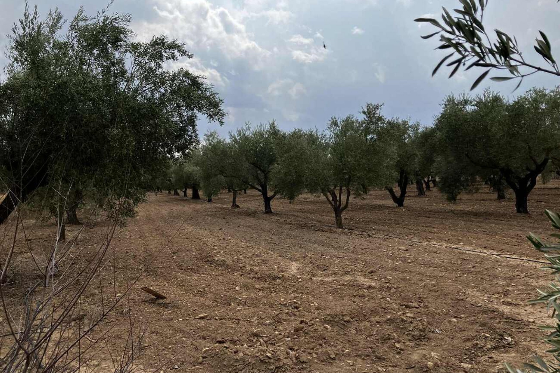 Brukt - Villa -
Biar - Costa Blanca