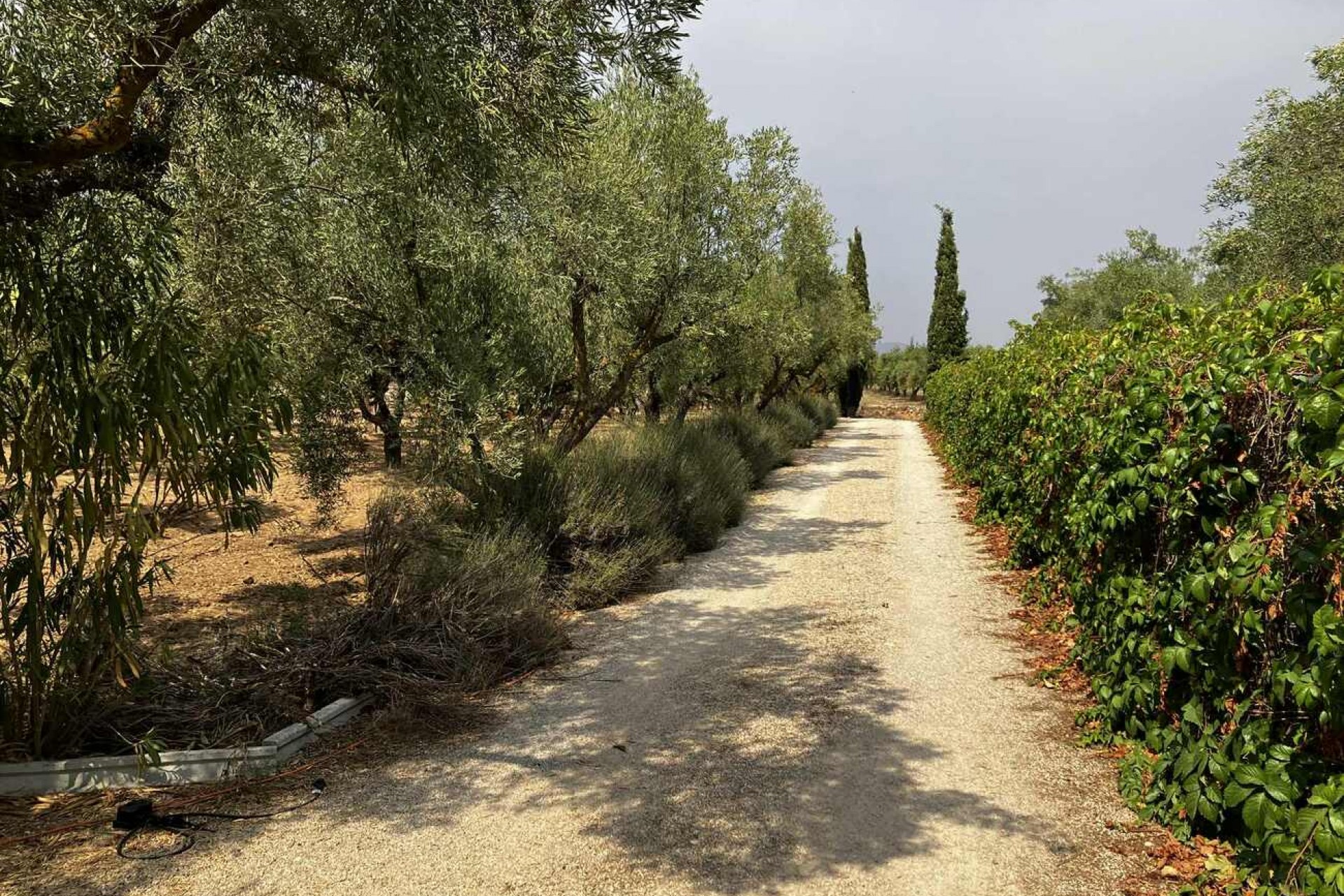 Brukt - Villa -
Biar - Costa Blanca