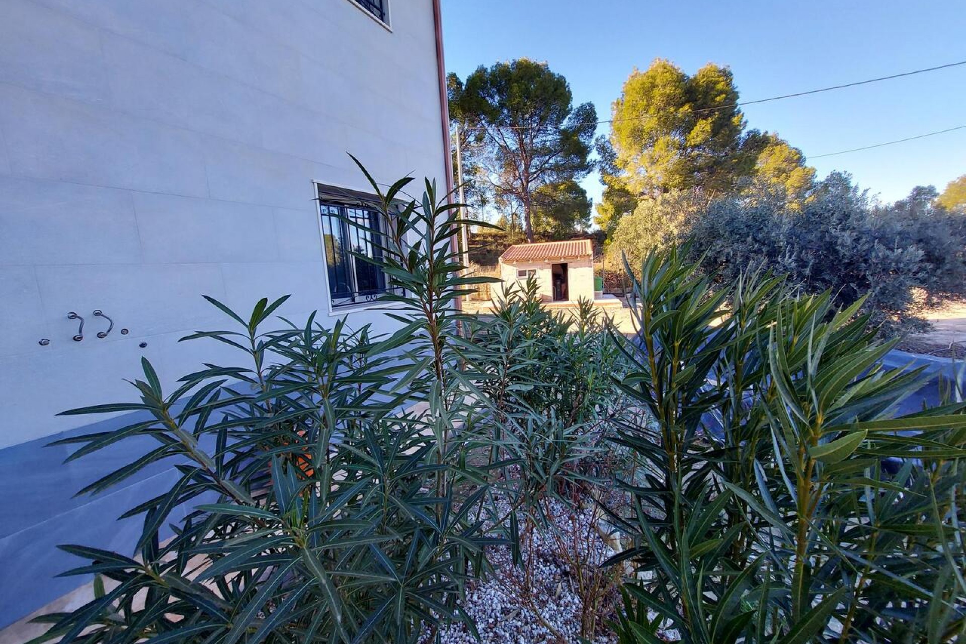 Brukt - Villa -
Calasparra - Inland