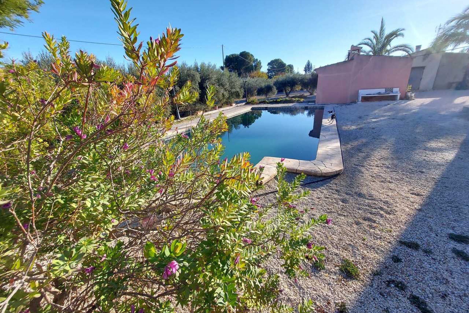 Brukt - Villa -
Calasparra - Inland