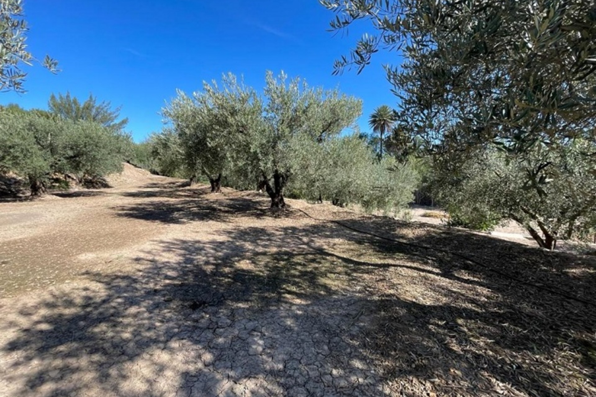 Brukt - Villa -
Calasparra - Inland