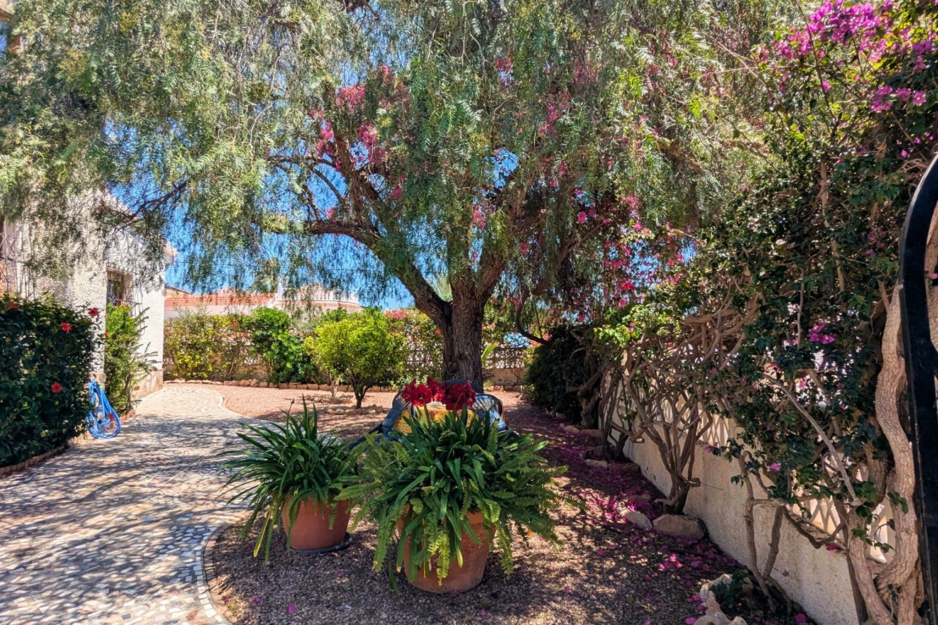Brukt - Villa -
Ciudad Quesada - Costa Blanca