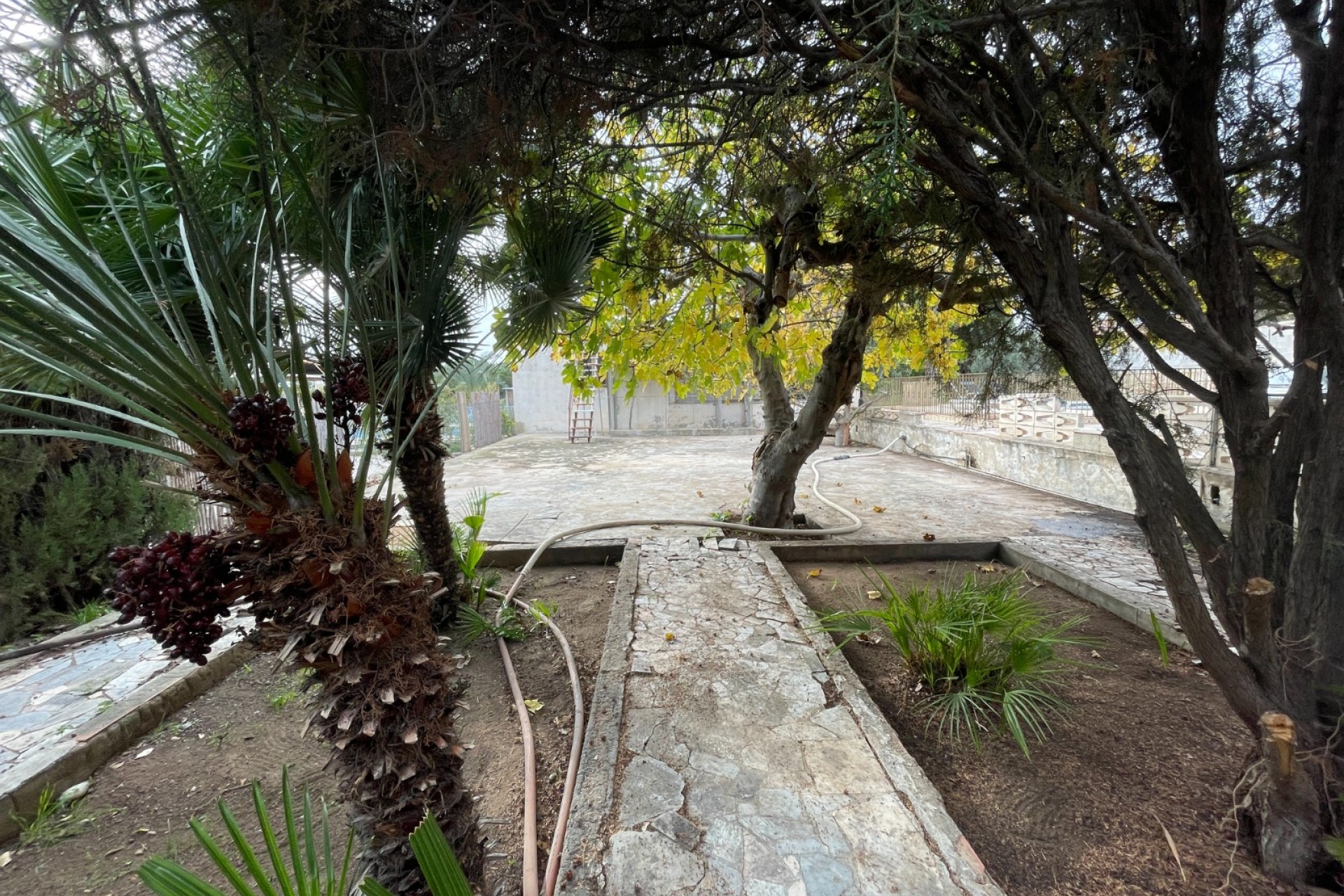 Brukt - Villa -
Elche - Costa Blanca