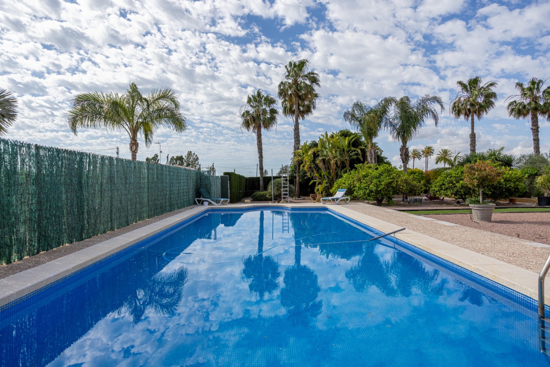 Brukt - Villa -
Elche - Costa Blanca