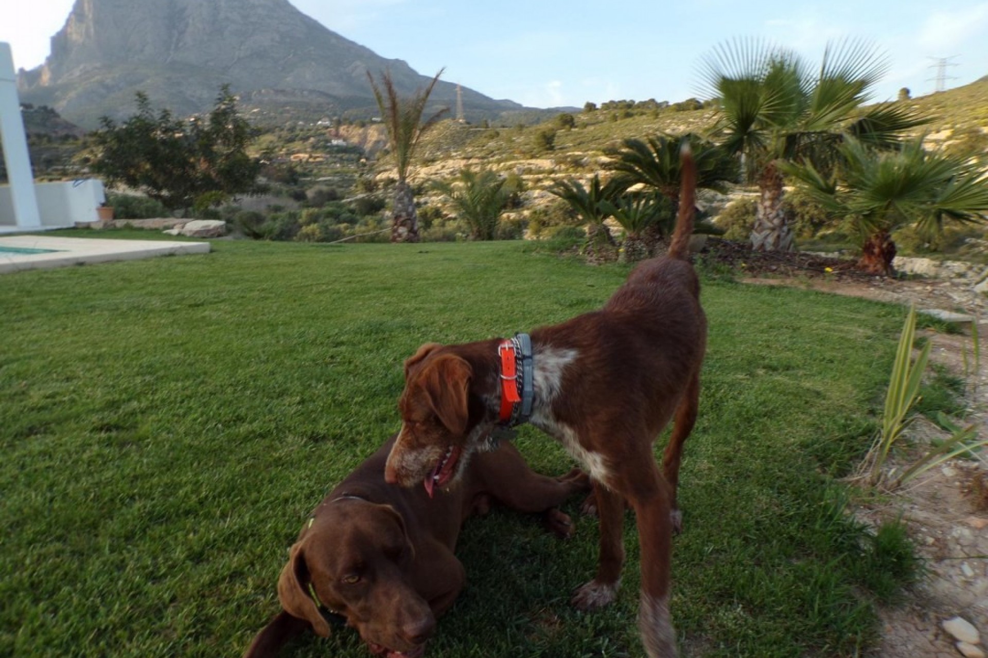 Brukt - Villa -
Finestrat - Costa Blanca