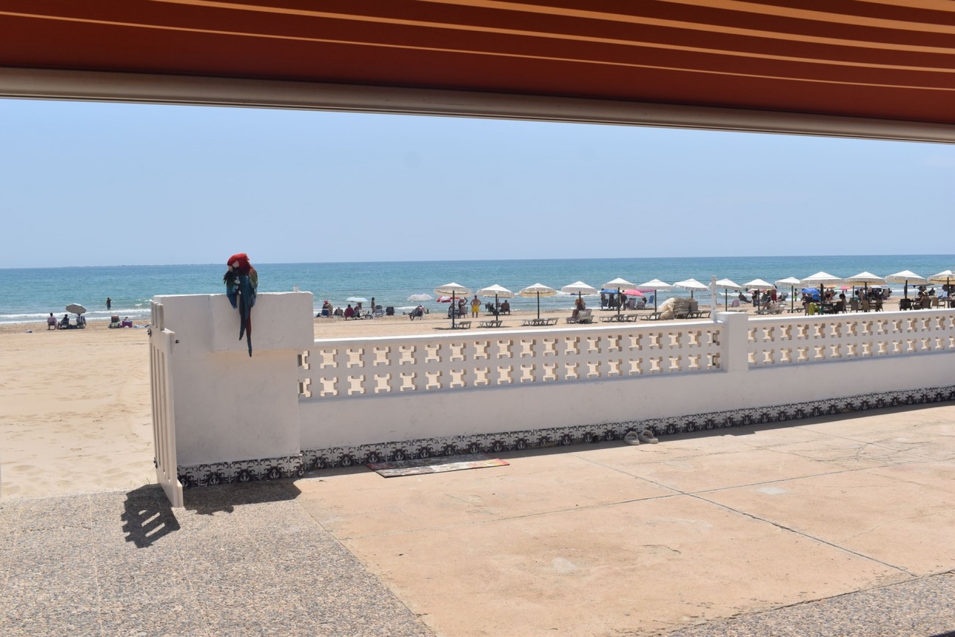 Brukt - Villa -
Guardamar del Segura - Costa Blanca