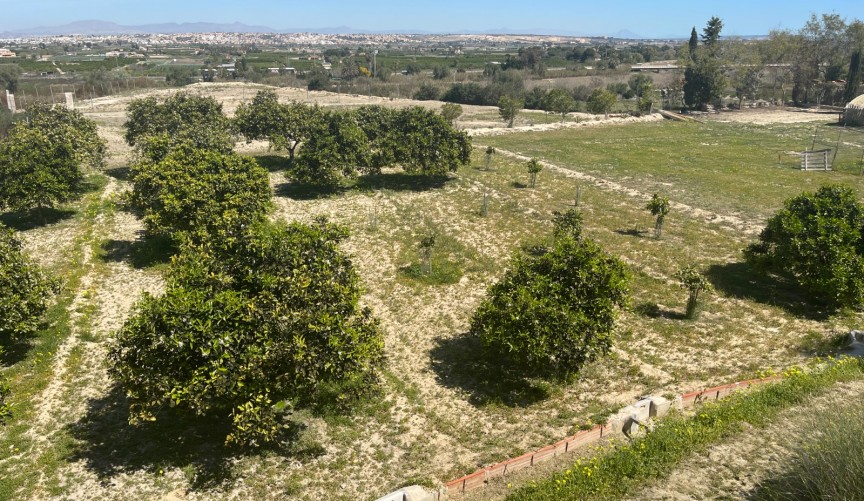 Brukt - Villa -
Guardamar del Segura - Costa Blanca