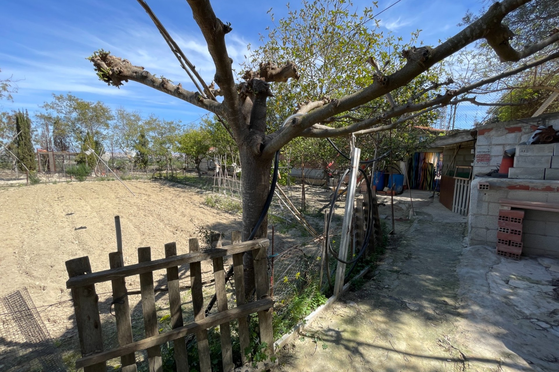 Brukt - Villa -
Guardamar del Segura - Costa Blanca