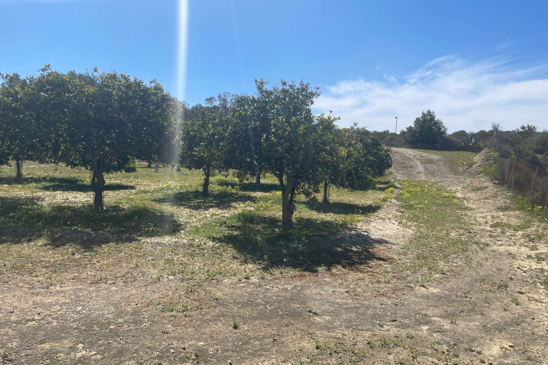 Brukt - Villa -
Guardamar del Segura - Costa Blanca