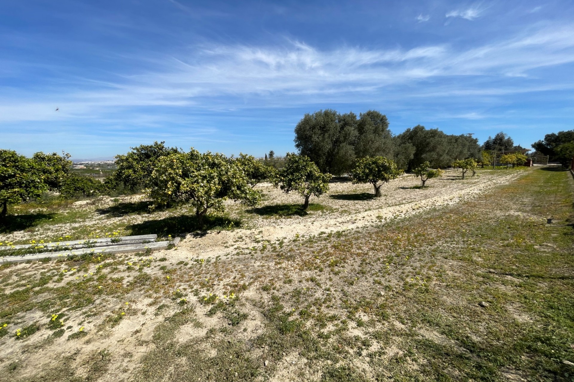 Brukt - Villa -
Guardamar del Segura - Costa Blanca