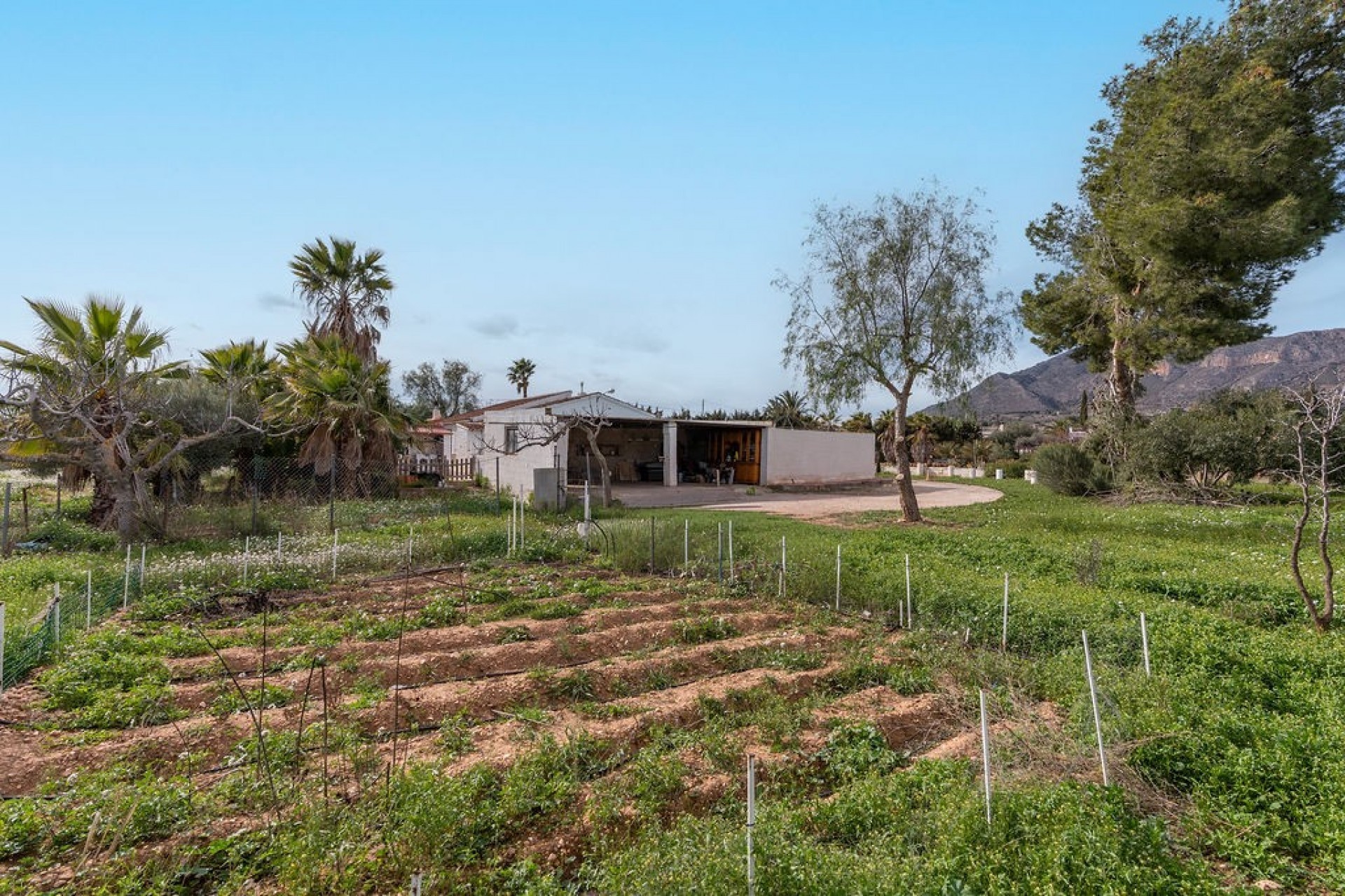 Brukt - Villa -
Hondón de las Nieves - Inland