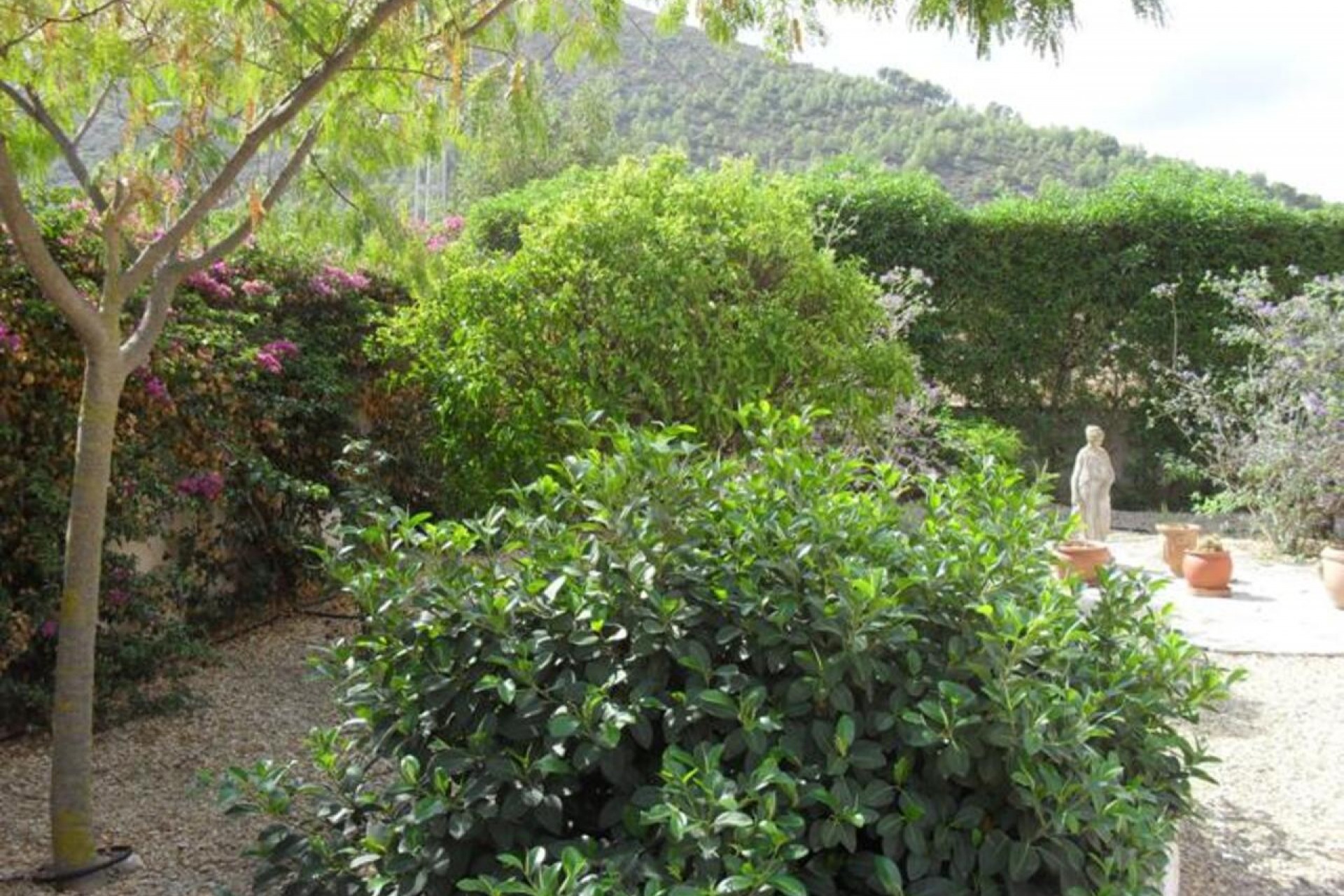 Brukt - Villa -
Jalón - Inland