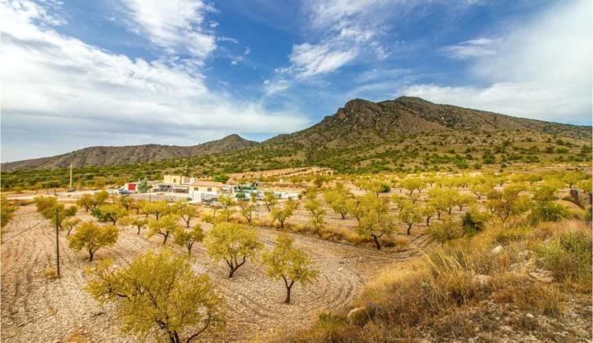 Brukt - Villa -
Jumilla - Inland