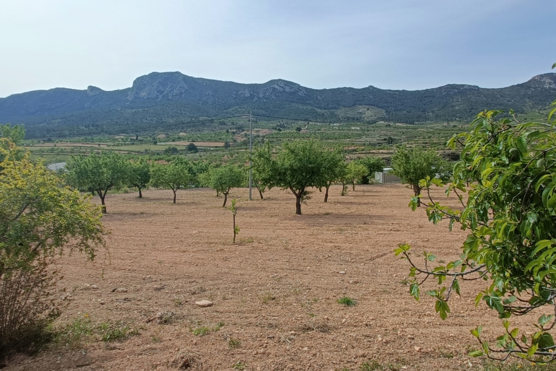 Brukt - Villa -
La Romana - Inland